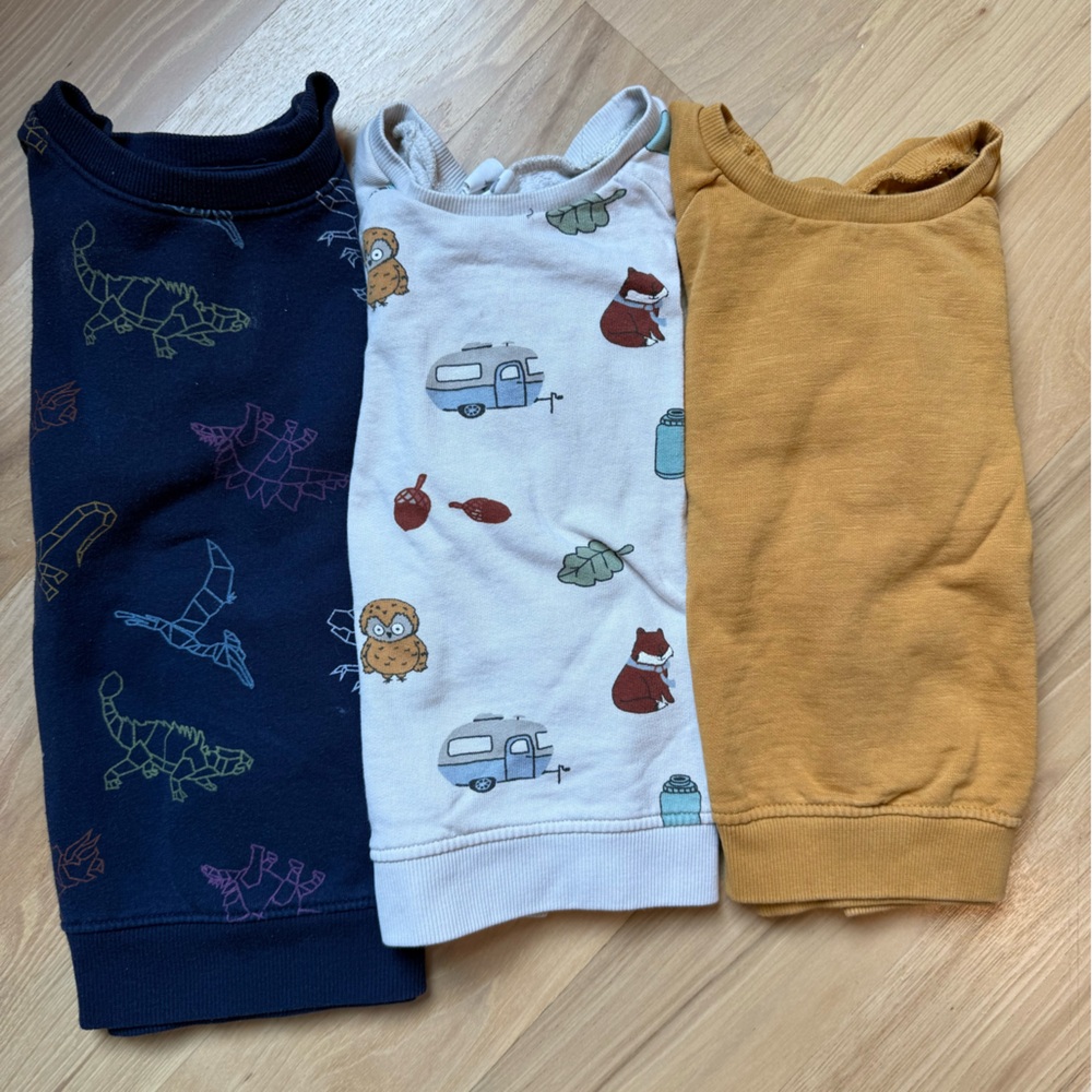 H&M and Cat&Jack Sweatshirt Trio - Navy, White, Mustard